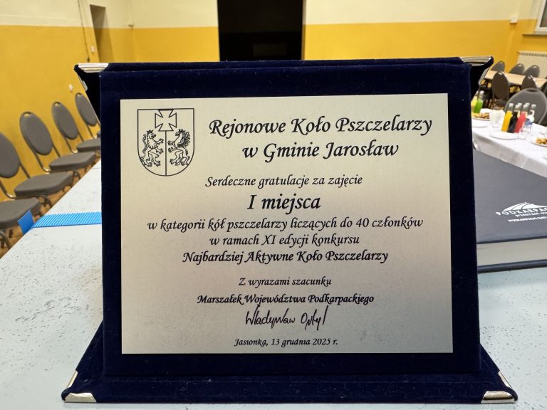 Zmiany w strukturach i echa sukcesów na Ekogali – relacja ze styczniowego zebrania